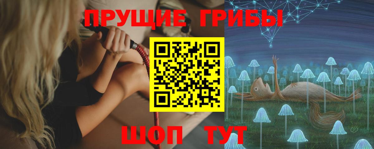 Дербент  Галлюциногенные грибы Psilocybe  Вход с VPN  Псилоцибиновые грибы GOLDEN TEACHER 